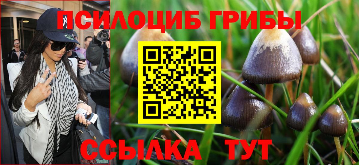 Галлюциногенные грибы Psilocybine cubensis  Вход с VPN  Псилоцибиновые грибы ЛСД  Курчалой 