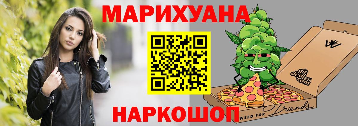 Канабис гибрид Курчалой